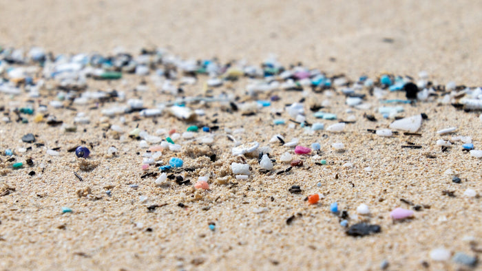 Plastic World, Plastic Bodies--Reducing Plastic for Better Health