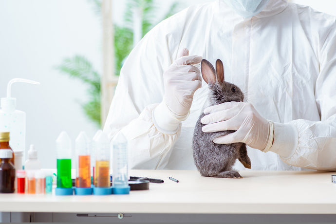 Are Animal-Tested Products Safe?