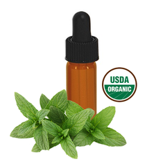 Million Marker Approved Products - Spearmint Clove Tooth & Gum Tonic