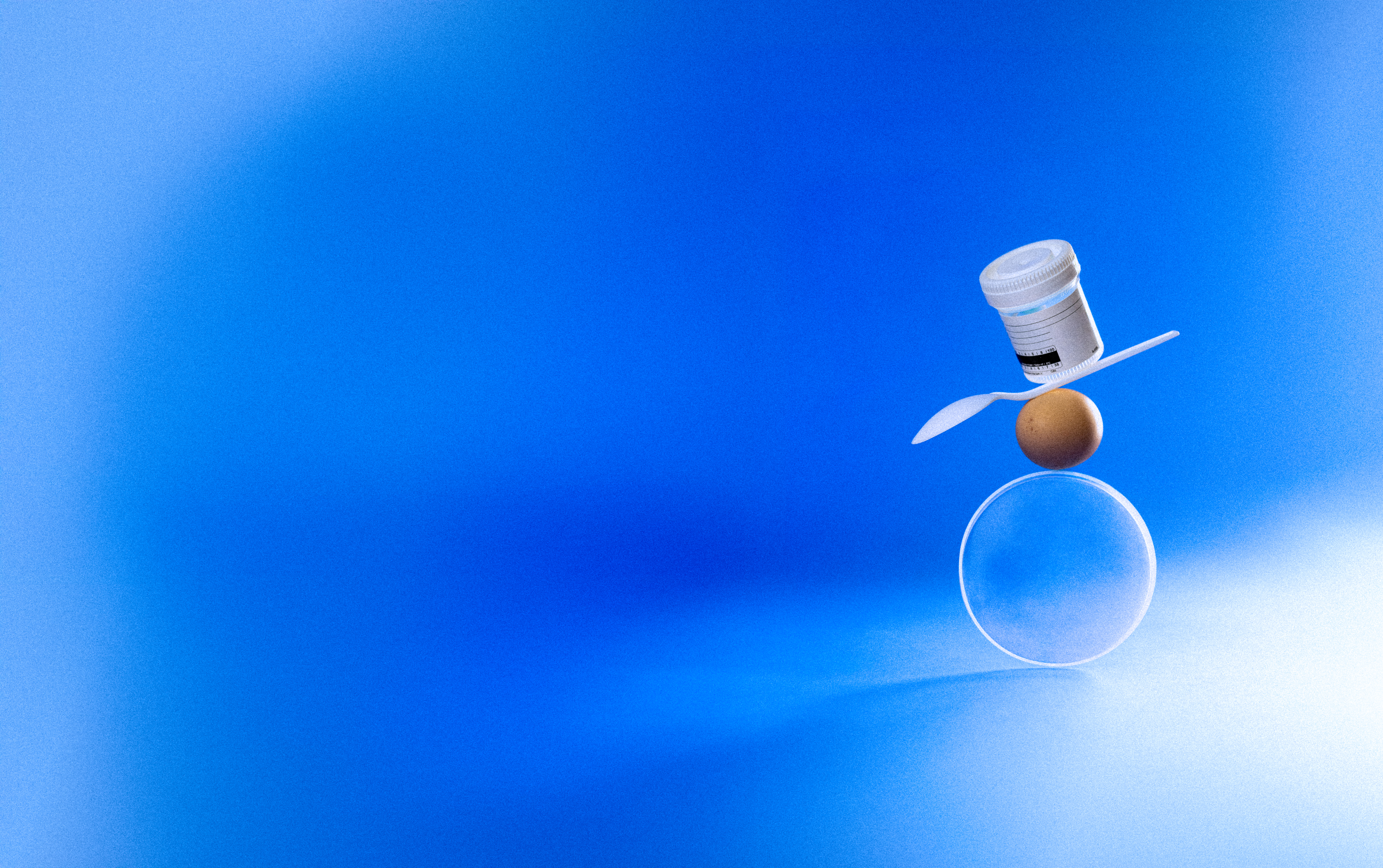 Still life of everyday objects that can carry fertility-disrupting toxins